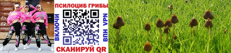 цены   Городовиковск  Псилоцибиновые грибы мицелий 