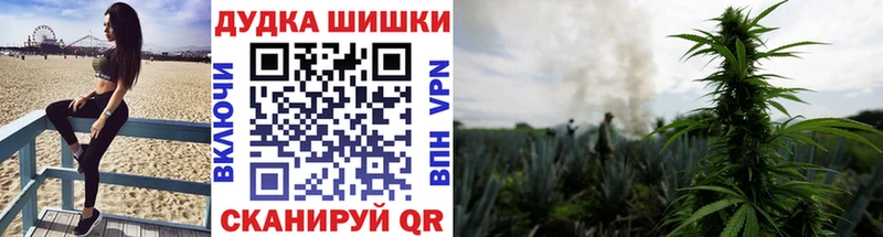 Канабис Ganja  магазин  наркотиков  Городовиковск 